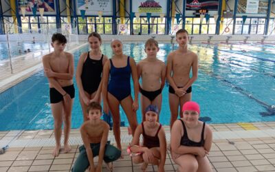 ŽUPANIJSKO NATJECANJE IZ PLIVANJA