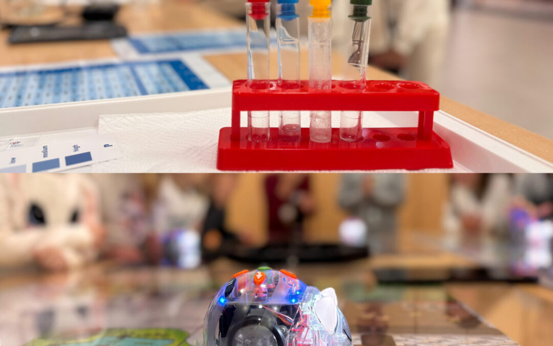 STEP for STEM