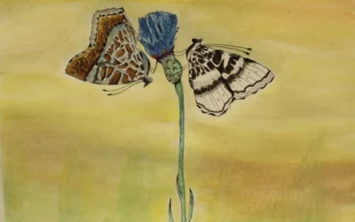 Rad Lucije Margetić na Svjetskom likovnom natjecanju na temu “Ljepota života: fauna i flora”