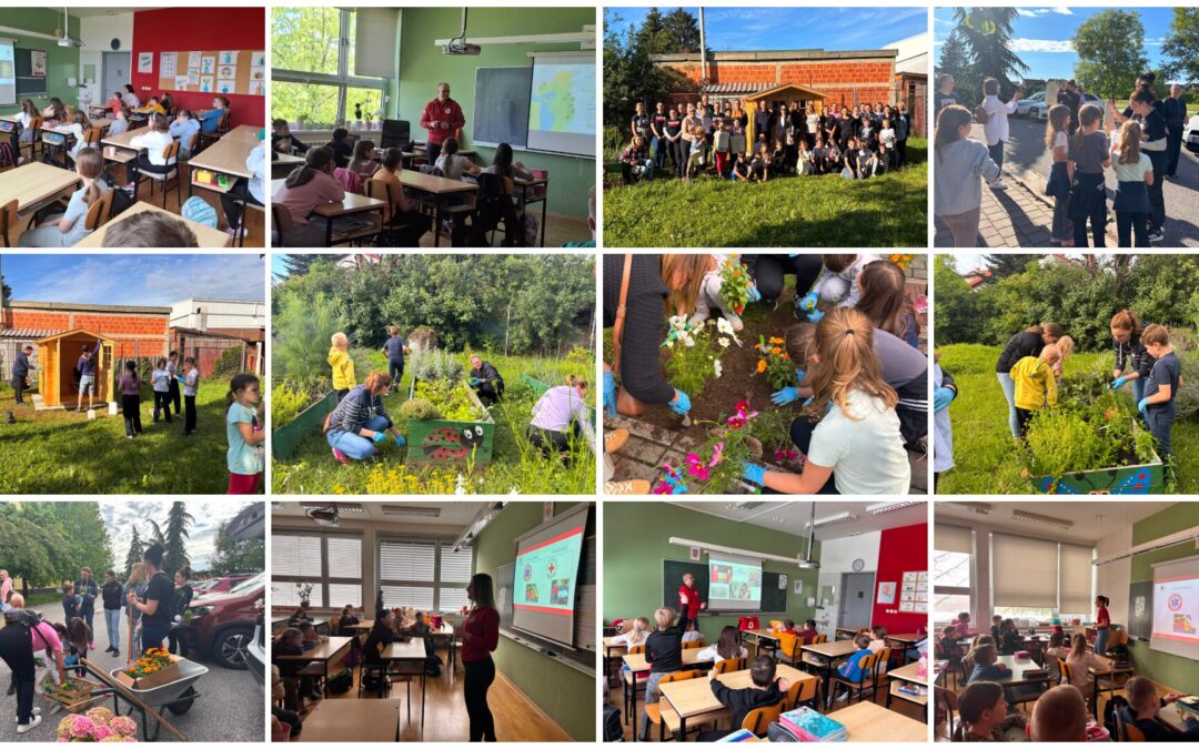 PROJEKT “RASTEMO ZA ZDRAVO SUTRA 3” U NAŠOJ ŠKOLI