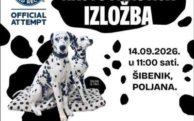 I naš likovni trag u „Najtočkastijem rekordu na svijetu“